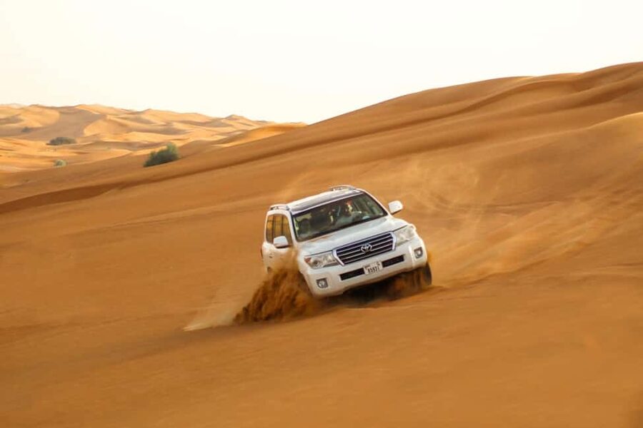Doha: Quad bike, Camel ride,Sand boarding,Dune bashing - The guides can shape the whole day