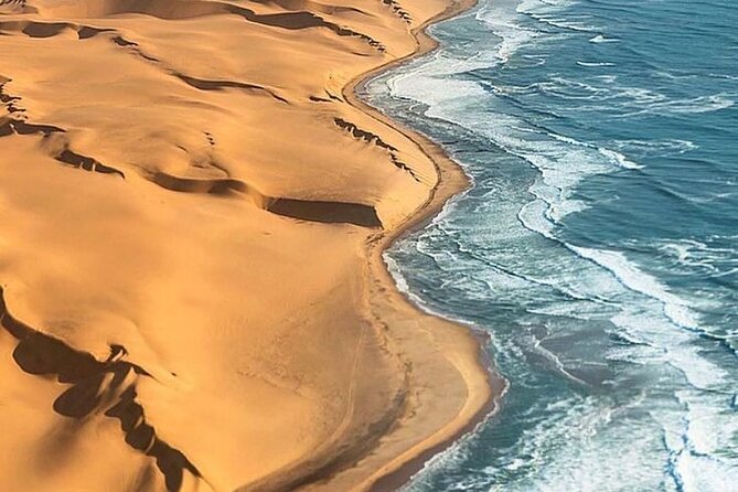 Doha Quad Bike, Dune Bashing, Camel Ride and Inland Sea Tour - Key points to know before booking