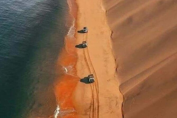 Doha Quad Bike, Dune Bashing, Camel Ride and Inland Sea Tour - Dune bashing with an experienced driver
