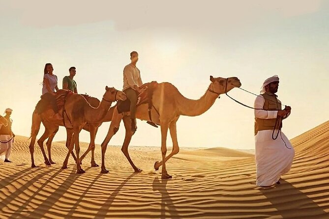 Doha Quad Bike, Dune Bashing, Camel Ride and Island Sea Tour - From Doha to Mesaieed, The Desert Starts Slowly