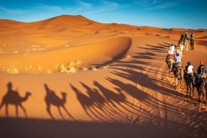 Doha Quad Bike, Dune Bashing, Camel Ride and Island Sea Tour - What the Guides Add to the Day