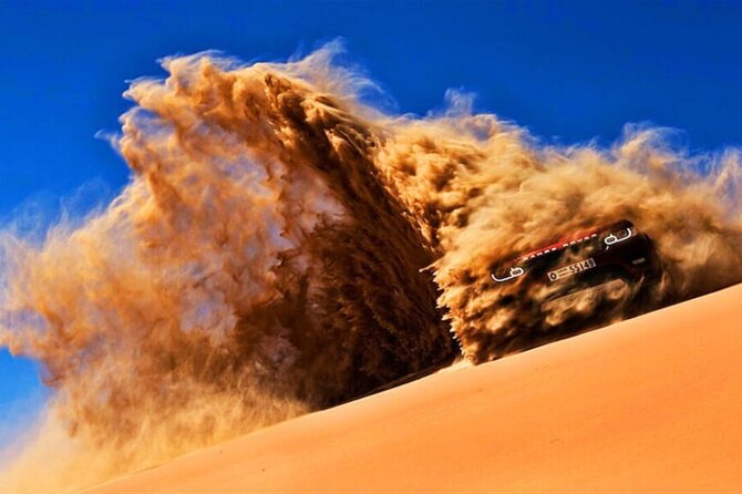 Doha Quad Bike, Dune Bashing, Camel Ride and Island Sea Tour - What $100 Buys You in Four Hours