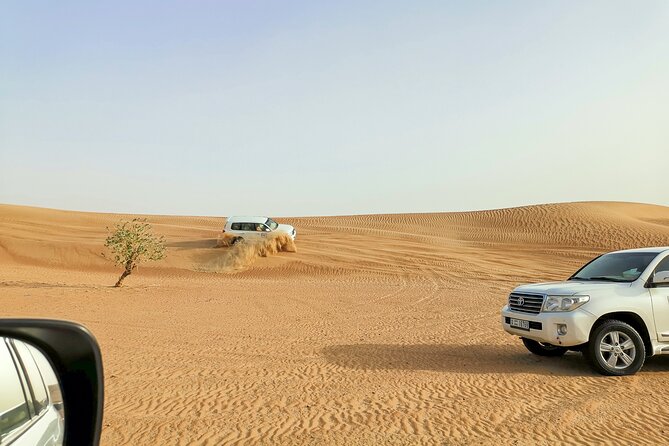 Doha Quad Bike, Dune Bashing, Camel Ride and Island Sea Tour - Who Will Enjoy This Desert Day Most