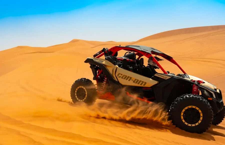 Doha: Quad Bike, Dune Bashing, Camel Ride & Inland Sea Tour - What the $20 price really gives you