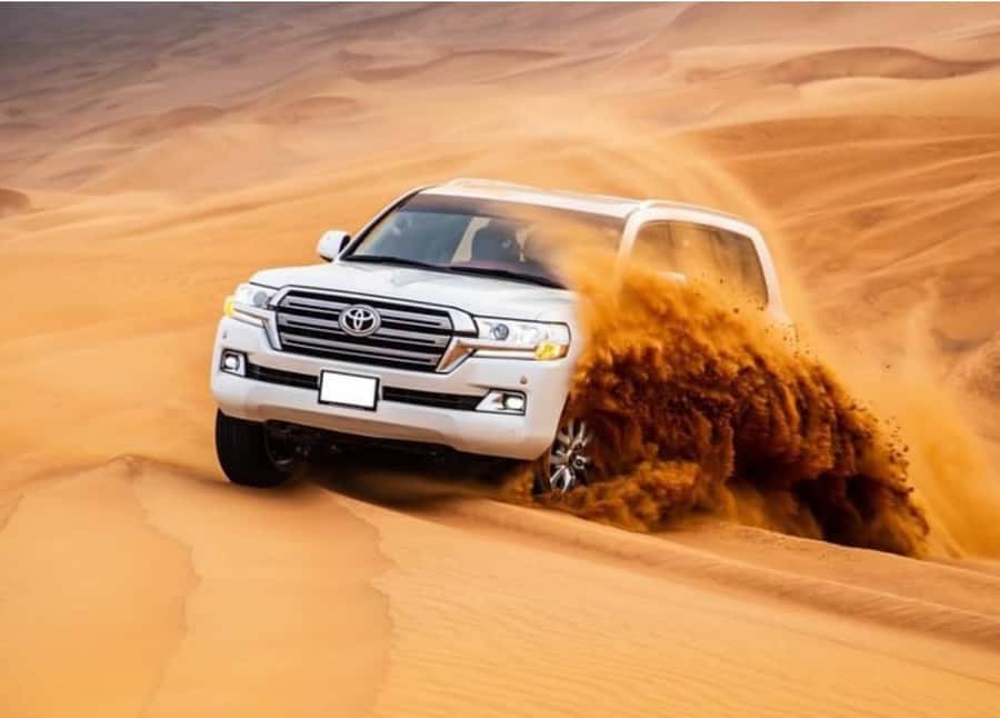 Doha: Relax Desert Safari, Camel Ride, Inland Sea, Swimming - Key points to know before you book