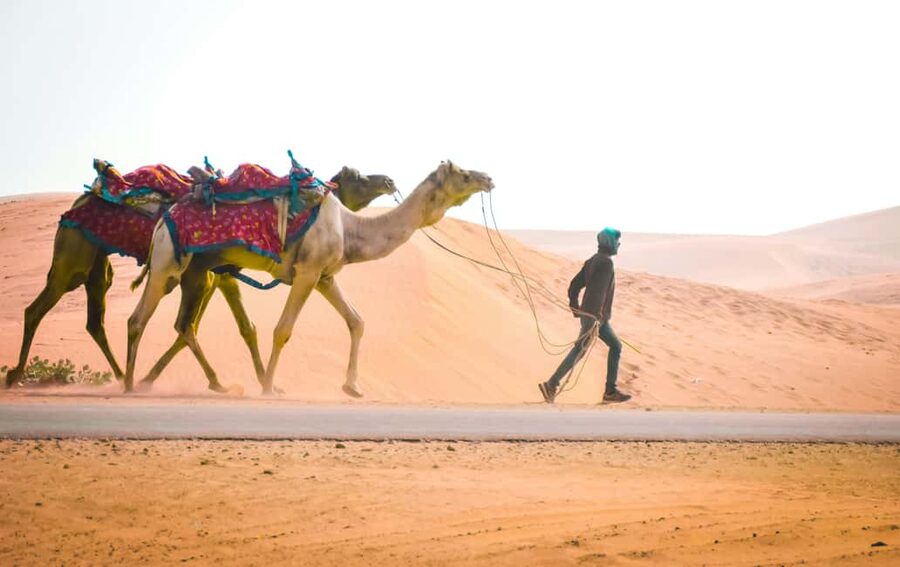 Doha: Relax Desert Safari-Sand Dune Bashing (Private Safari) - Sandboarding and Quad Biking: What Is Extra