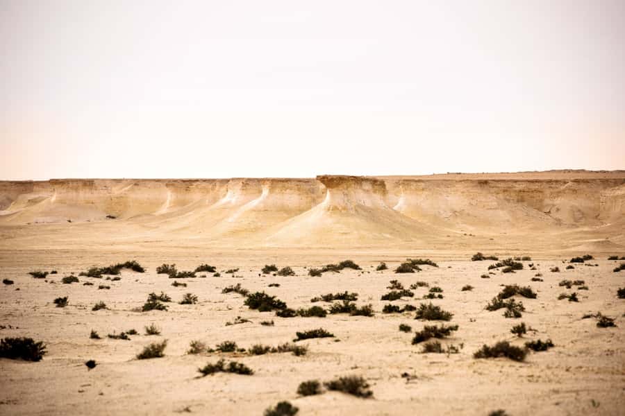 Doha: Richard Serra Sculpture,Mushroom Hill,Camel Race Track - Zekreet village and fort ruins