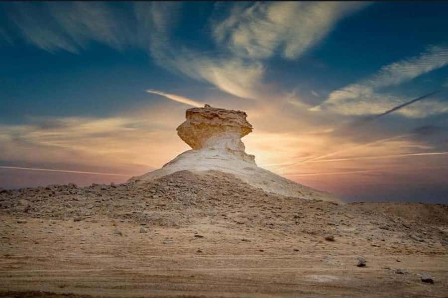 Doha: Richard Serra Sculpture, Zekreet and West Coast Tour - Al Shahaniya Camel Racetrack: a quick look at a major sport