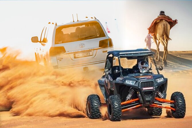 Doha Safari Adventures, Dune Bashing, Sand Buggy, Camel Ride Tour - Key points before you book