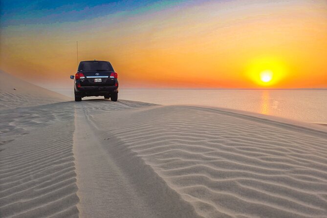 Doha Safari Adventures, Dune Bashing, Sand Buggy, Camel Ride Tour - How much value do you get for $77.50?