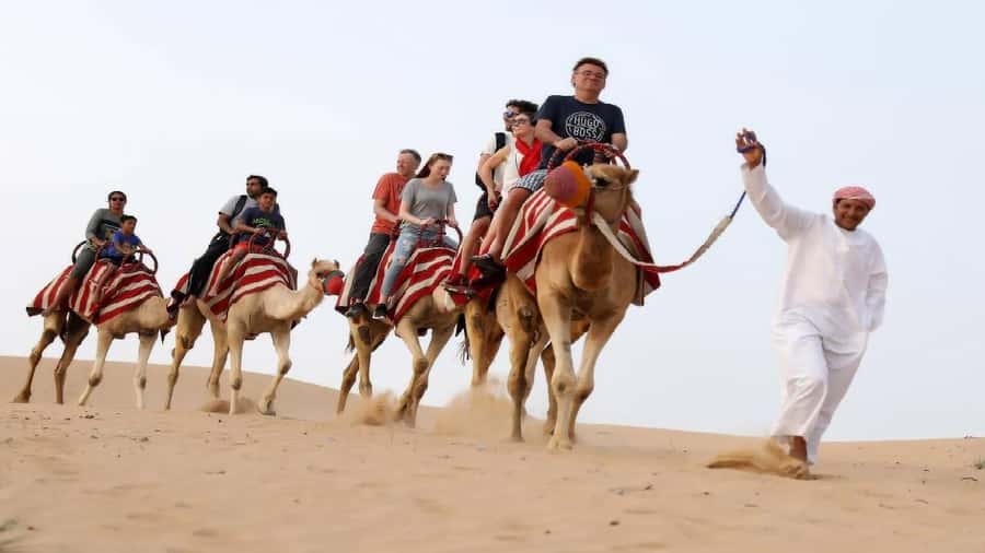 Doha: Safari, ATV, Camels, Sandboarding and Inland Sea Tour - Khor Al Adaid, where sand meets water