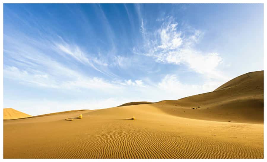 Doha: Safari ATV Ride Dunes Bashing and Camel Ride - Sandboarding at Ash Shaqra