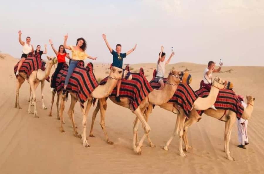 Doha: Safari ATV Ride Dunes Bashing and Camel Ride - Dune bashing and quad biking near Ash Shaqra