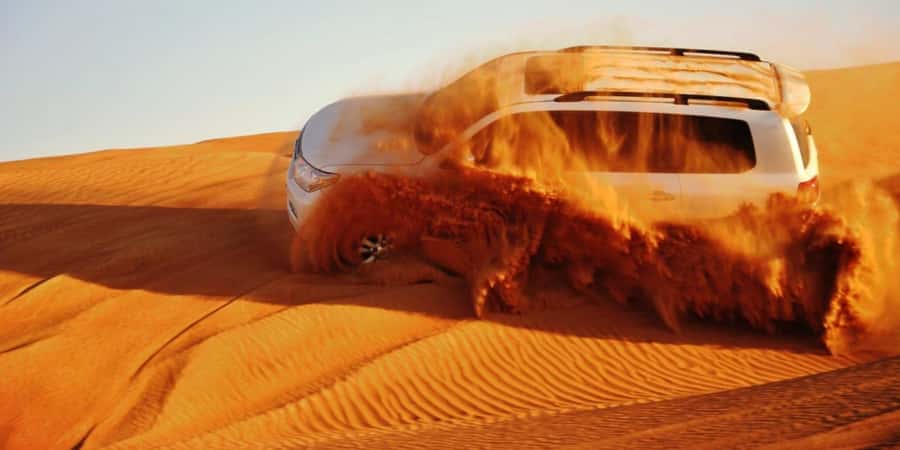 Doha: Safari, Camel Ride, Sandboarding and Inland Sea Tour - A compact desert adventure from Doha