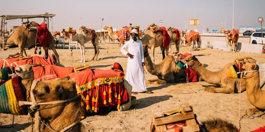 Doha: Safari, Camel Ride, Sandboarding and Inland Sea Tour - Guides, photos, and the human side of the trip