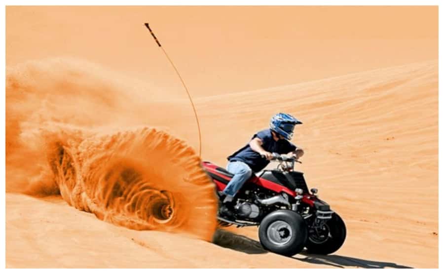 Doha: Safari, Camel Ride, Sandboarding and Inland Sea Tour - Is $15 good value for four hours?