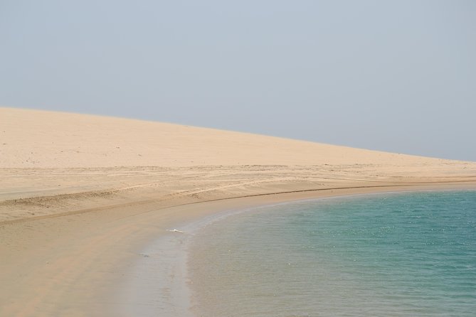 Doha: Safari, Dune bashing, Camel Ride, Sandboarding & Inland Sea - Guides, vehicles, and the human side of the trip
