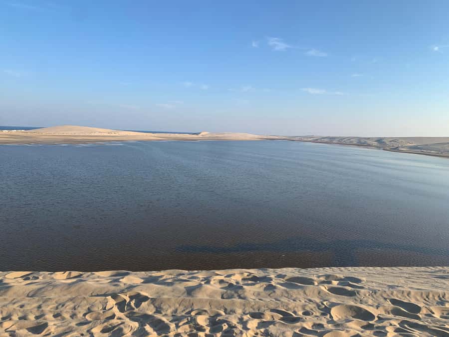 Doha: Safari | Inland Sea Tour | Camel Ride | Sandboarding - Key points before you book