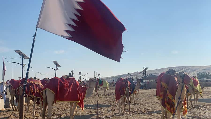 Doha: Safari | Inland Sea Tour | Camel Ride | Sandboarding - Forty minutes of dune bashing around Mesaieed