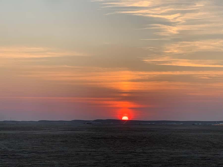 Doha: Safari | Inland Sea Tour | Camel Ride | Sandboarding - Sandboarding for 20 minutes, with no steep learning curve