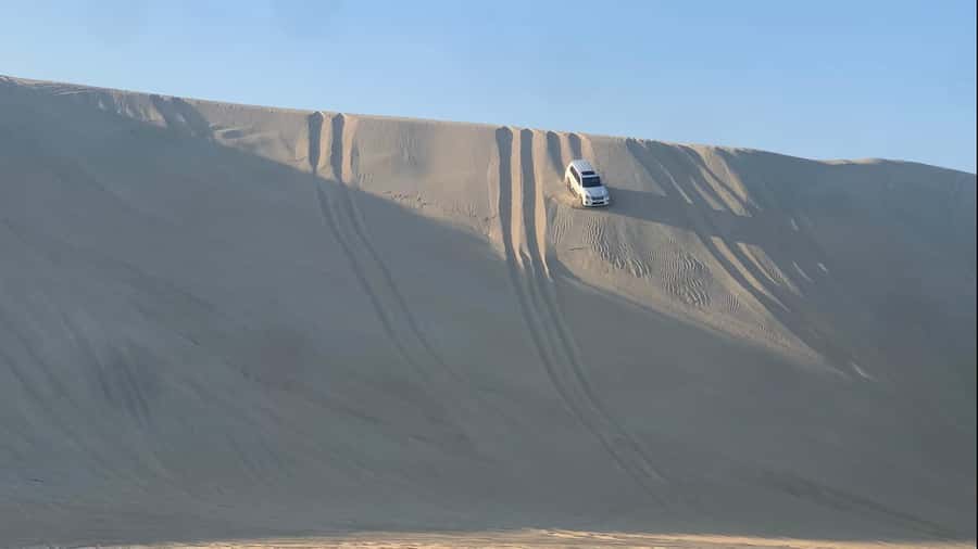 Doha: Safari | Inland Sea Tour | Camel Ride | Sandboarding - A 20-minute camel ride at Sealine Beach