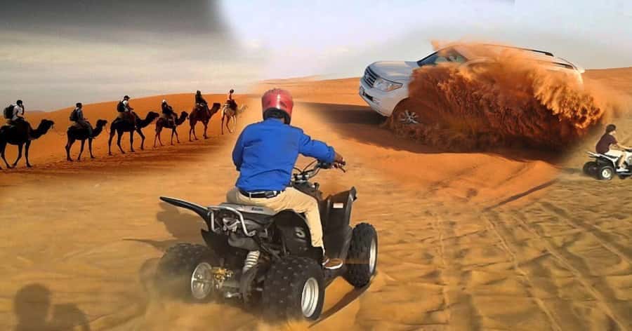 Doha Safari Quadbike, CamelRide, Sandboarding & Inland Sea - Key points to know before you book