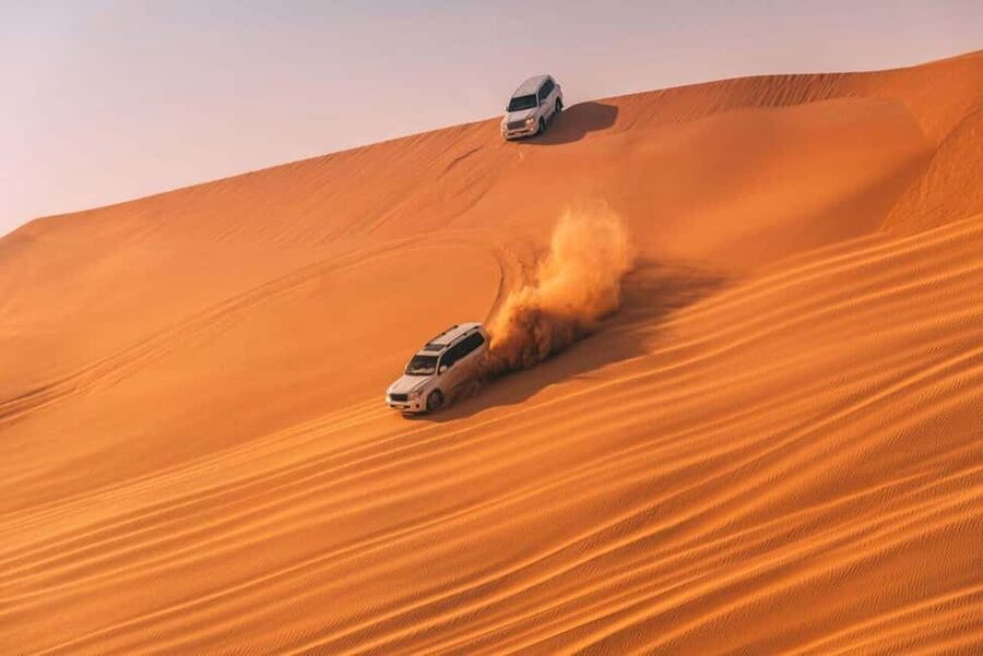 Doha Safari with Camel Ride, Inland Sea & Hotel Transfer - The essential points at a glance