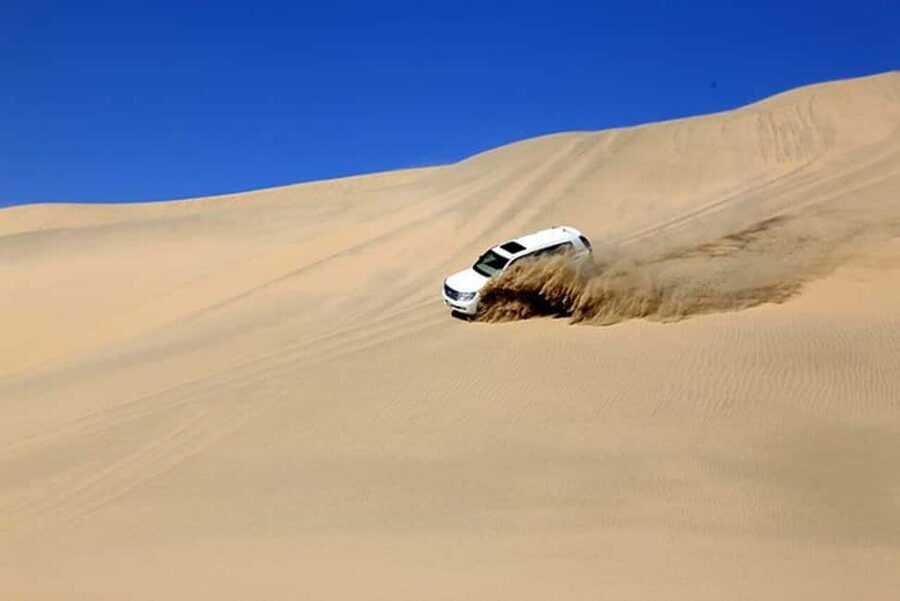Doha Safari with Camel Ride, Inland Sea & Hotel Transfer - Who should book this desert safari?