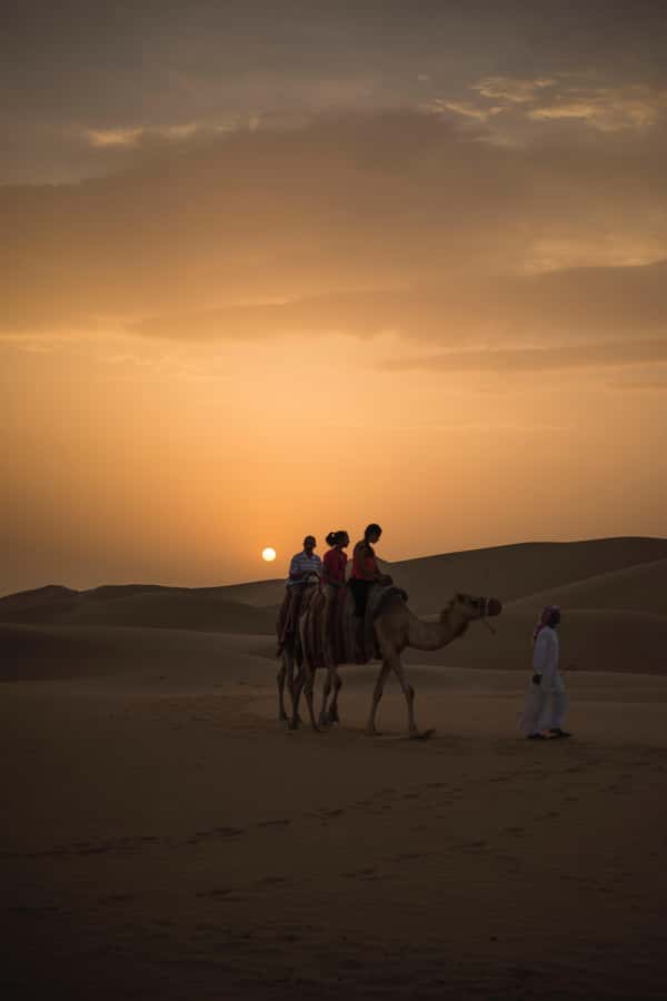 Doha: Shared Desert Safari, Sandboarding, Camel Ride - Sandboarding on soft Qatar sand