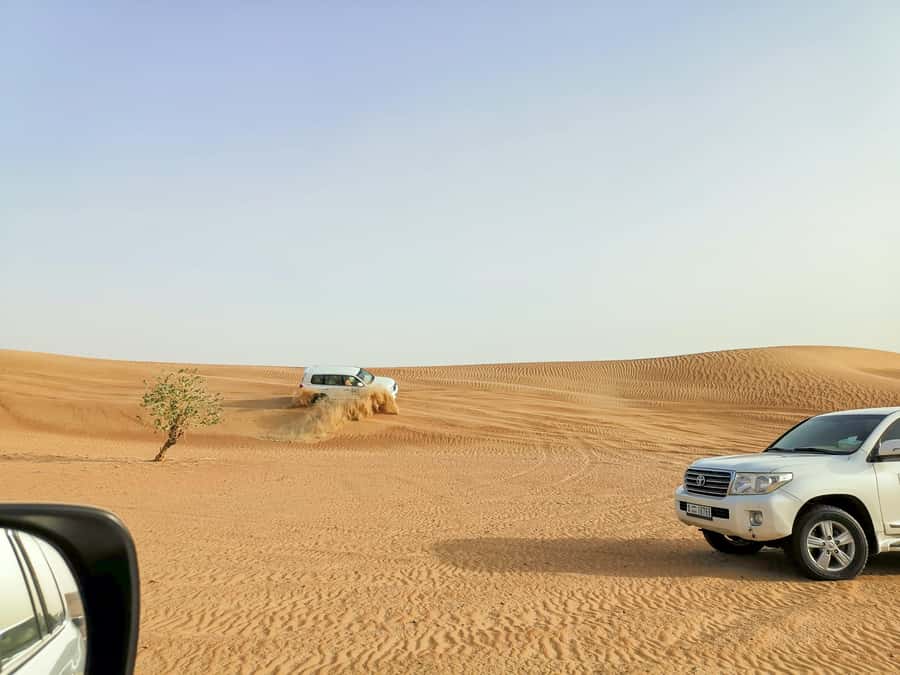 Doha: Shared Desert Safari, Sandboarding, Camel Ride - Meeting at Sealine and getting organized