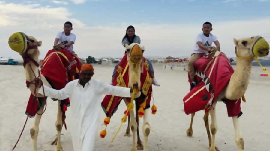 Doha Shore Excursion: Full-Day Desert Safari-Doha City Tour - Key points to know before booking