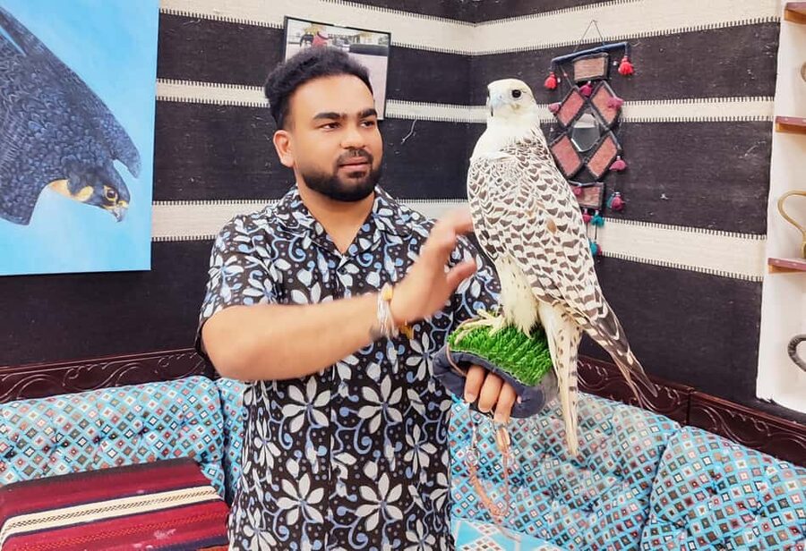 Doha: Souq Waqif - Traditional Local market guided Walk Tour - What the $56 Price Buys You