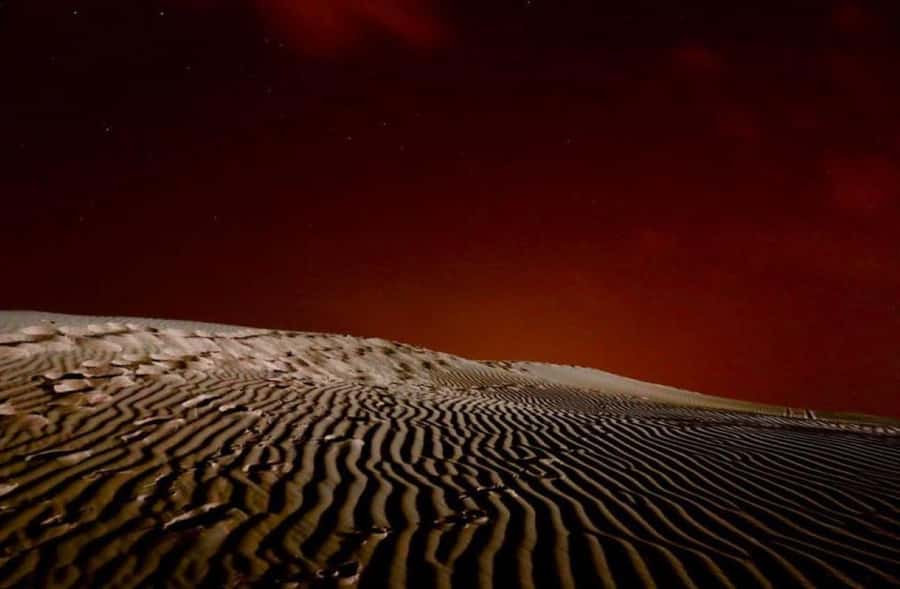 Doha: Stargazing Desert Safari w/ Dune Bashing & Camel Ride - Ash Shaqra’ and the short camel ride
