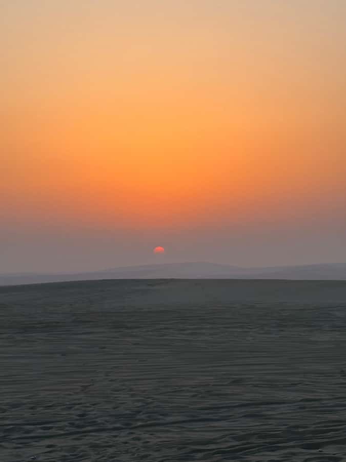 Doha: Stargazing Desert Safari w/ Dune Bashing & Camel Ride - Why the guides matter so much