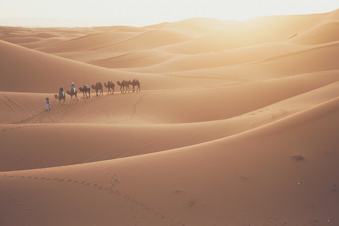 Doha Sunrise Desert Safari Tour| Dune Bashing| Inland Sea visit| Camel Riding - Sealine Beach and the first run over the dunes