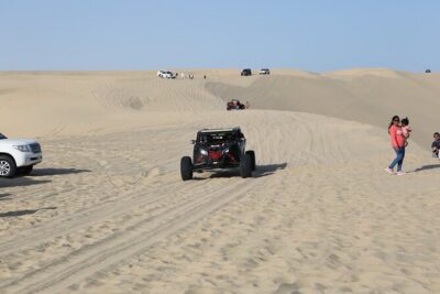 Doha; Sunrise Desert Tour and camel safari 4hrs