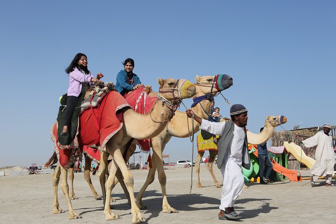 Doha; Sunrise Desert Tour and camel safari 4hrs - Who will enjoy this morning most