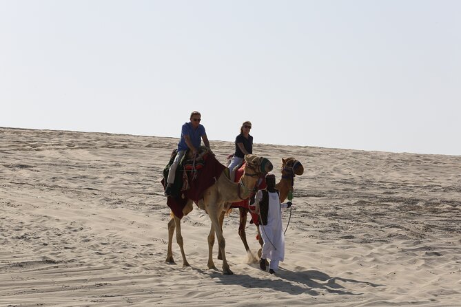 Doha; Sunrise Desert Tour and camel safari 4hrs - Practical advice for a smoother morning
