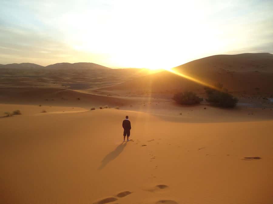 Doha:Sunrise or Sunset Desert Safari Tour with Sand Boarding - Key Things to Know Before You Book
