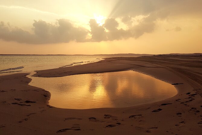 Doha: Sunrise /Sunset Desert Safari with Sand Boarding,Camel ride - Sealine Beach: tea, camels, and the start of the action