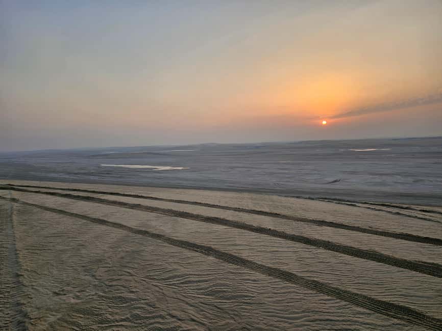 Doha Sunrise/Sunset or Night Stargazing desert safari. - Dune bashing: the high-energy part