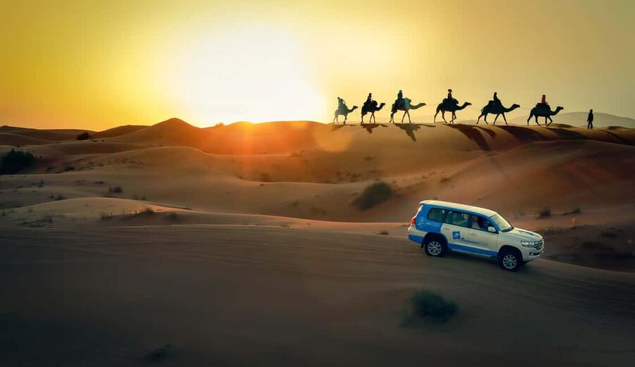 Doha: Sunset Desert Safari, ATV, Camel Ride and Sandboarding - The camel ride gives you a quick taste of desert travel