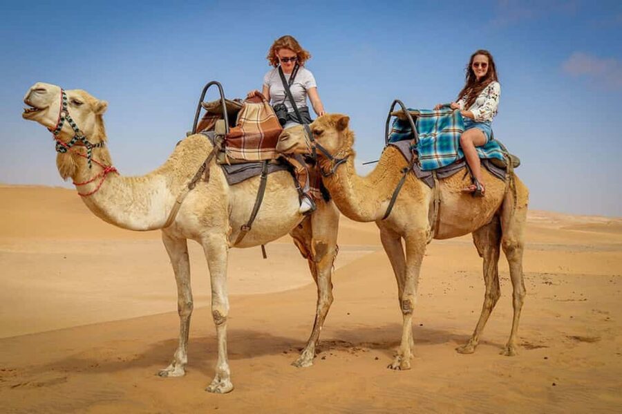 Doha: Sunset Desert Safari, ATV, Camel Ride and Sandboarding - Pickup choices and practical planning