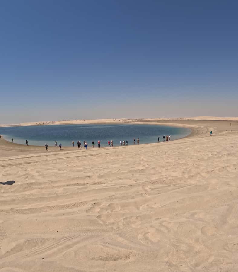 Doha: Sunset Desert Safari with Camel Ride and Sandboarding - Key points to know before booking