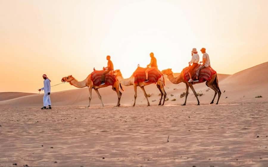 Doha: Sunset Desert Safari with Camel Ride & Sandboarding - Key points to know before you book
