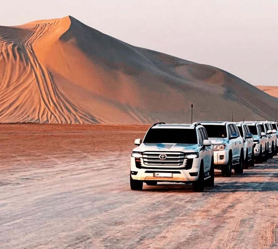 Doha: Sunset Desert Safari with Camel Ride & Sandboarding - Who should book this desert safari?
