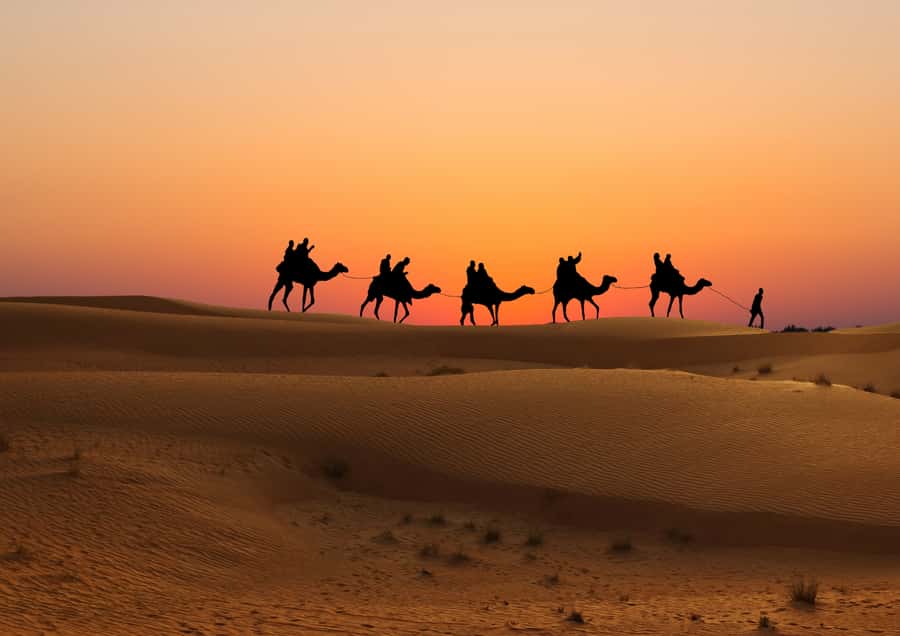 Doha: Sunset Safari, Dune Bashing, Sandboarding & Camel Ride - Sandboarding without an extra ticket