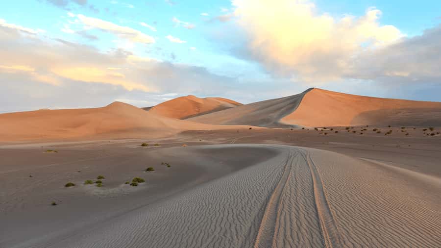 Doha: Sunset Safari, Dune Bashing, Sandboarding & Camel Ride - Guides, driving, and the human side of the trip