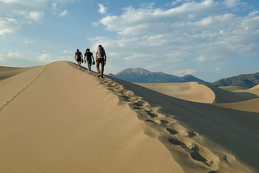 Doha: Thrilling 4x4 Desert Safari, Inland Sea-All Activities - The long road from Doha to the desert