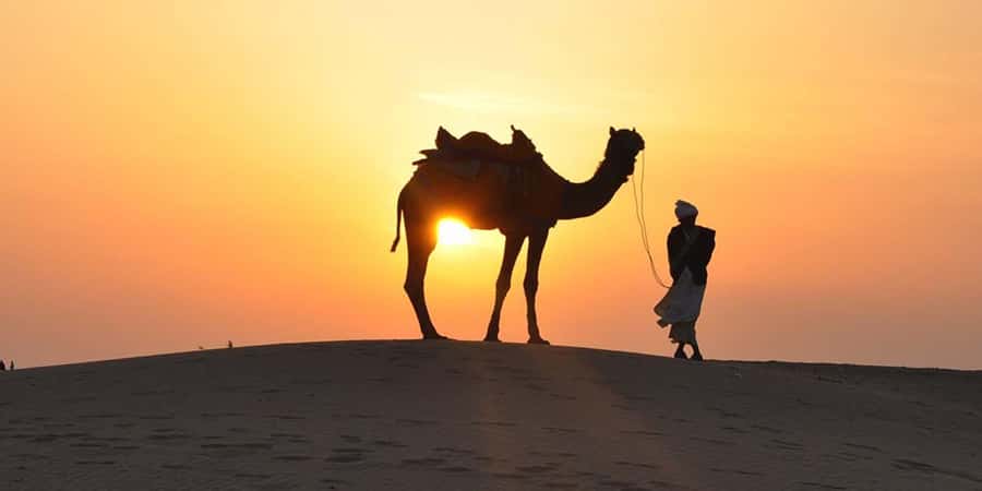 Doha: Thrilling 4x4 Desert Safari, Inland Sea-All Activities - Is $15 good value for four hours?